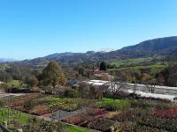 Vivero otoño 2017 1